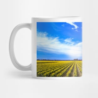 Field of Daffodils Mug